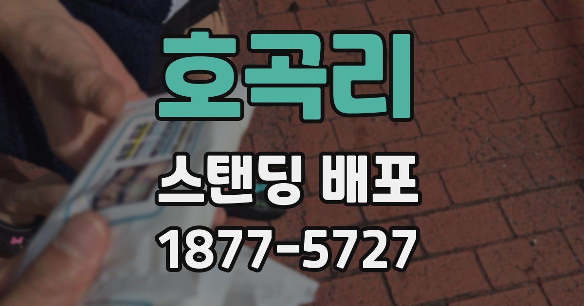 호곡리 스탠딩 배포