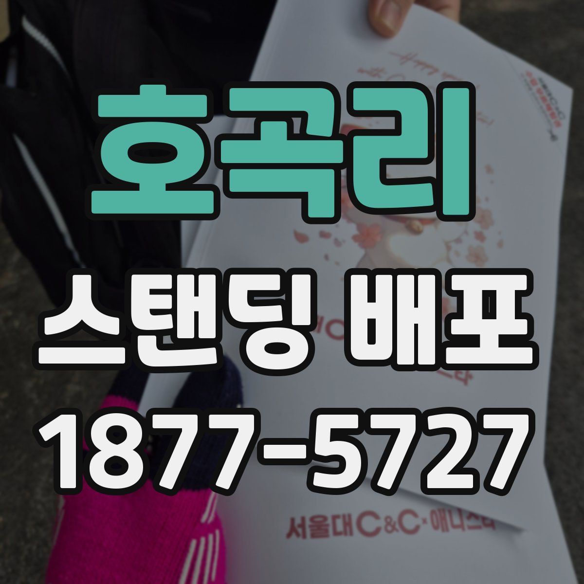 호곡리 스탠딩 배포