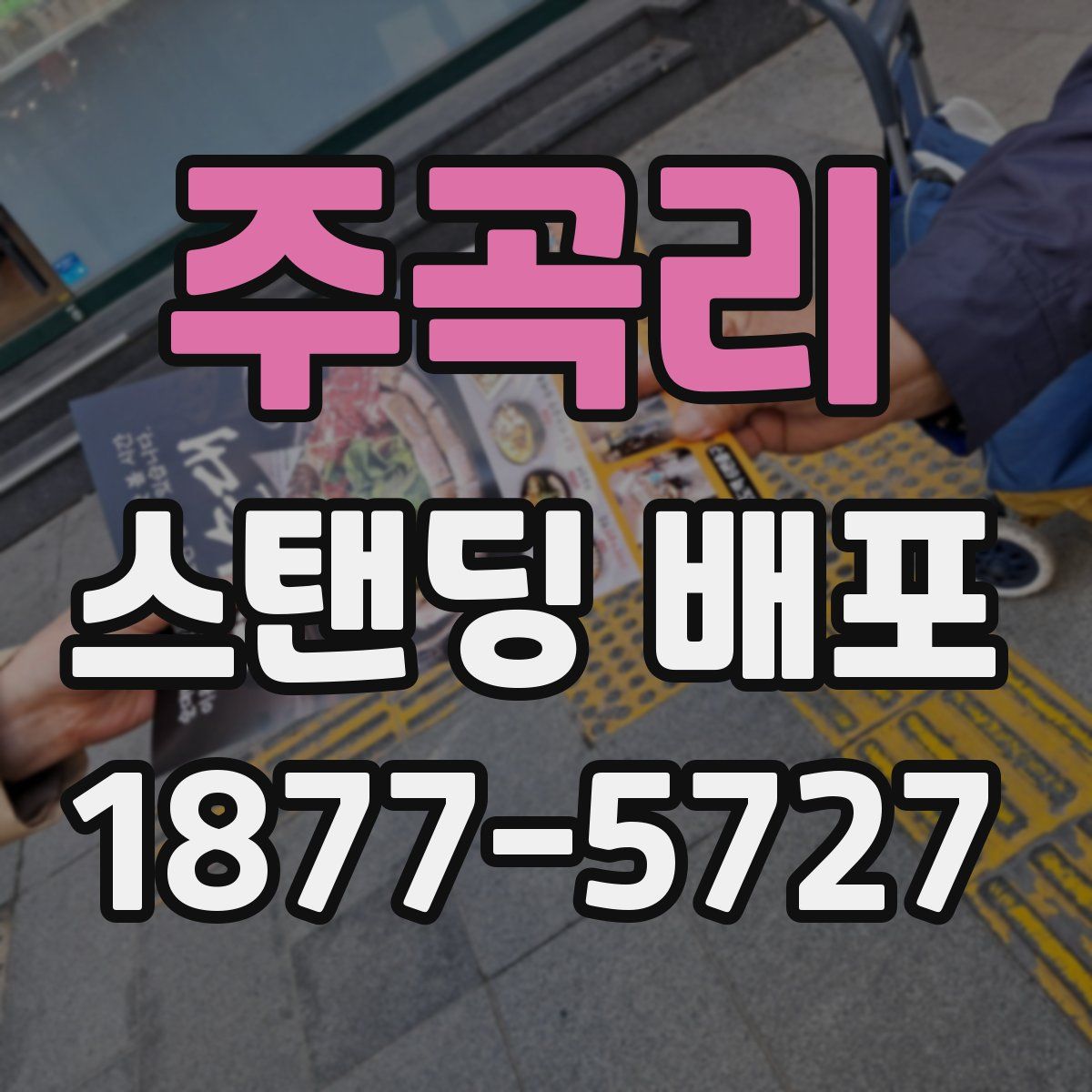 주곡리 스탠딩 배포