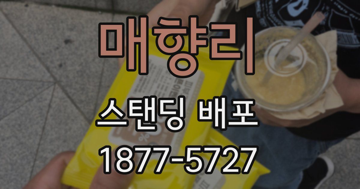 매향리 스탠딩 배포