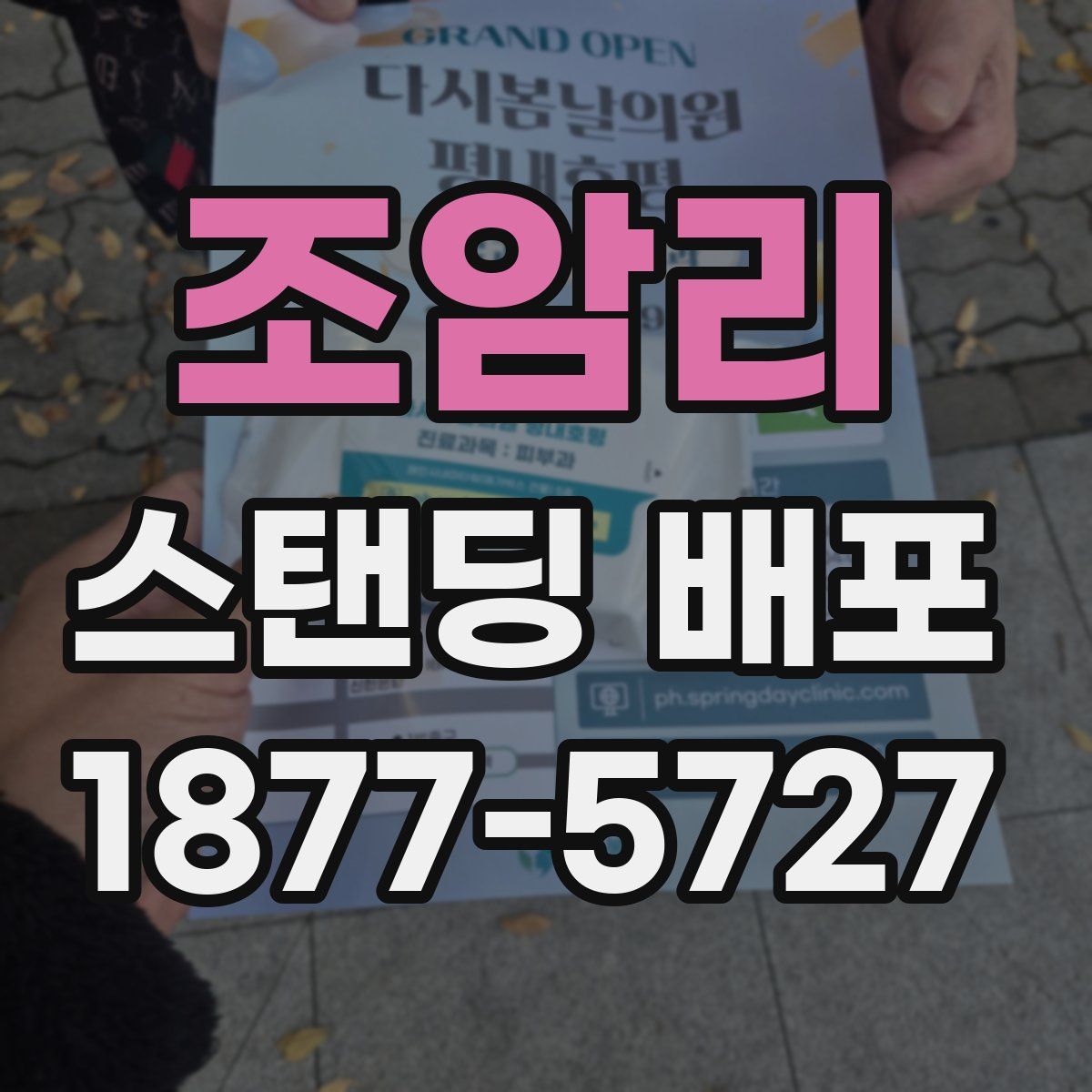 조암리 스탠딩 배포
