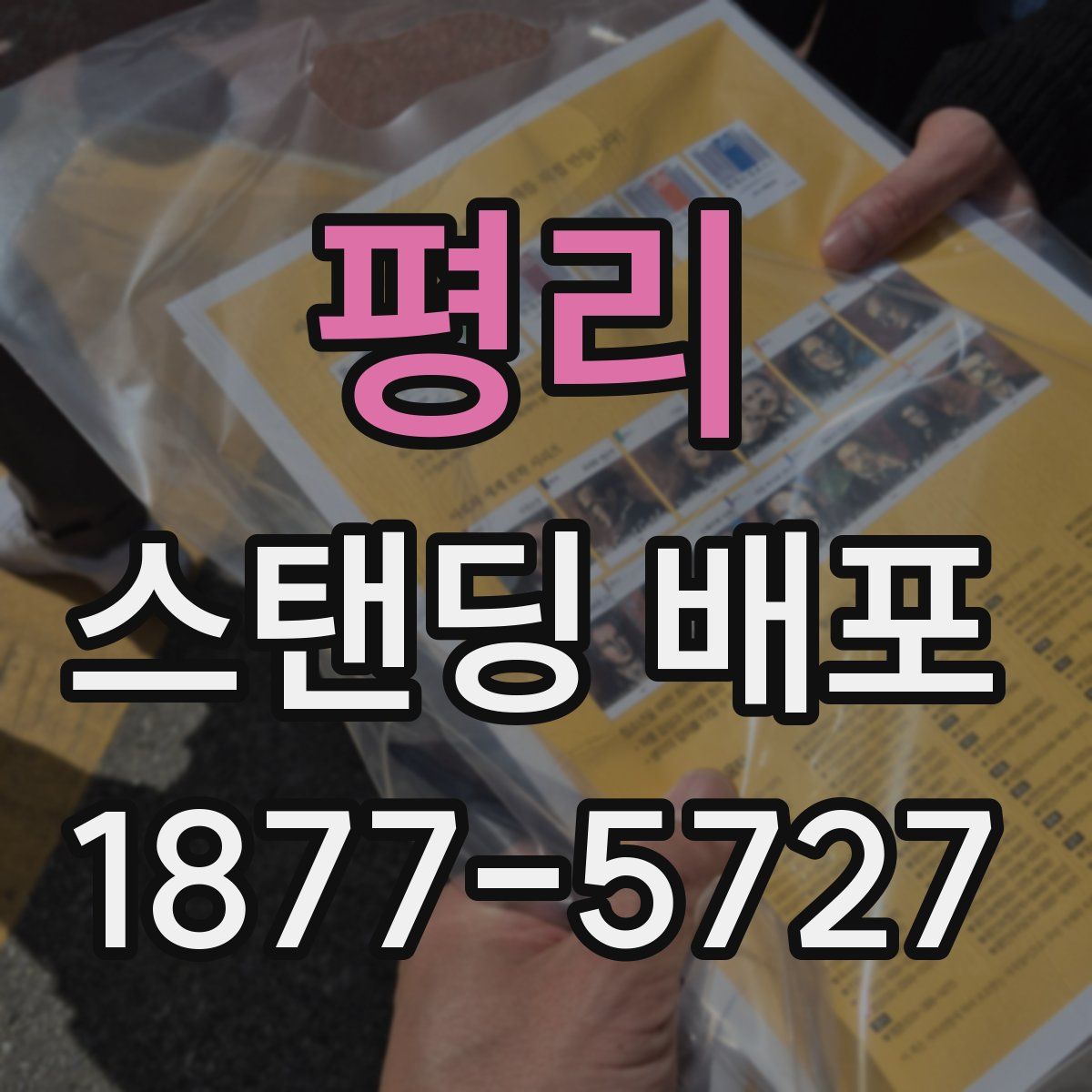 평리 스탠딩 배포