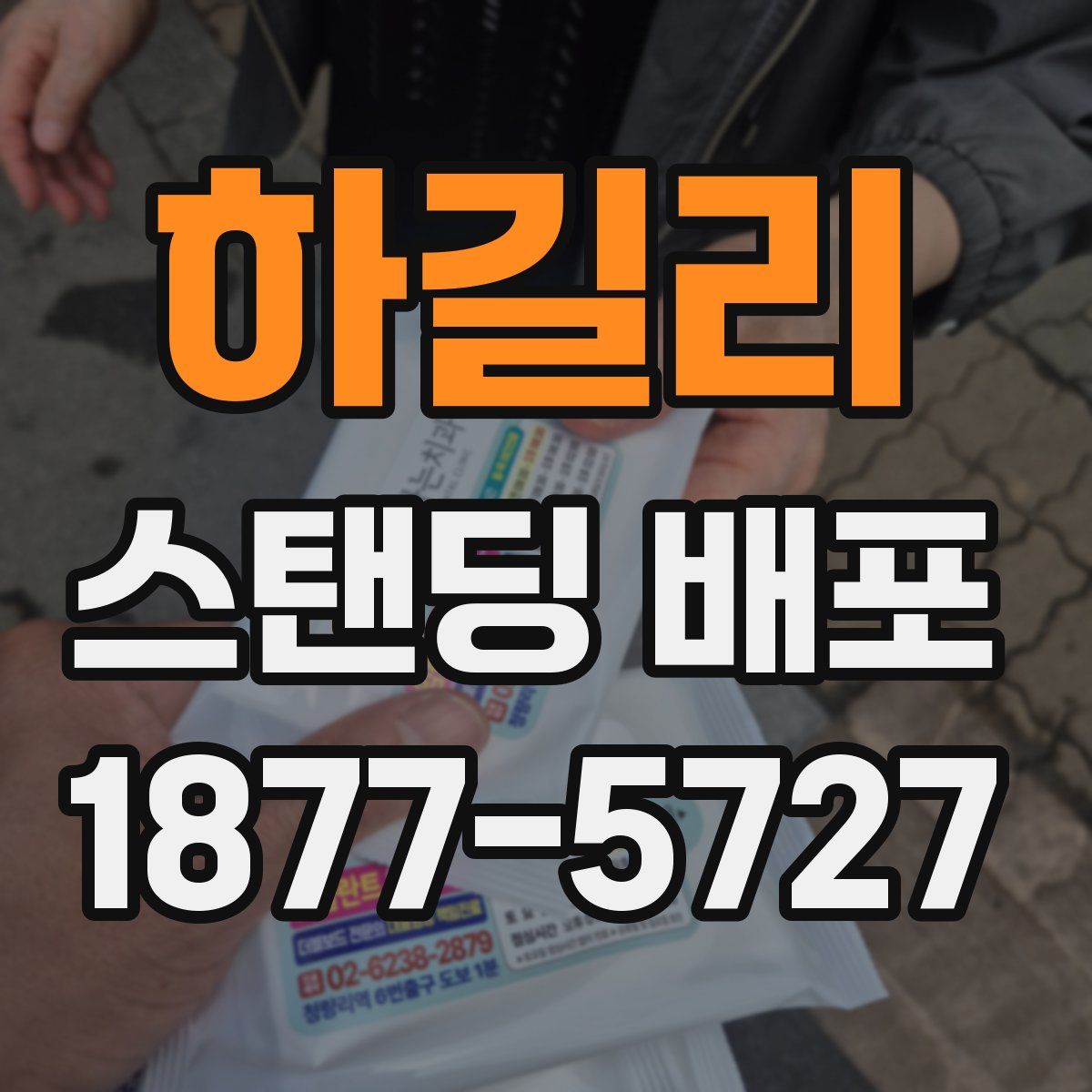 하길리 스탠딩 배포