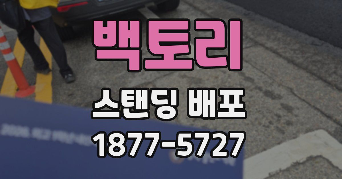 백토리 스탠딩 배포