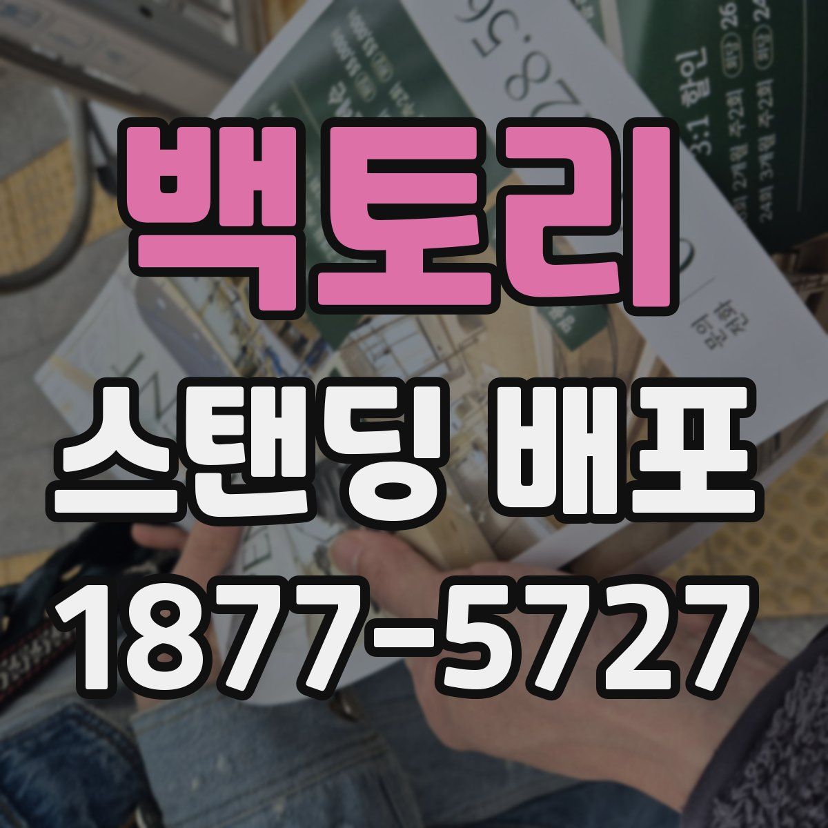 백토리 스탠딩 배포