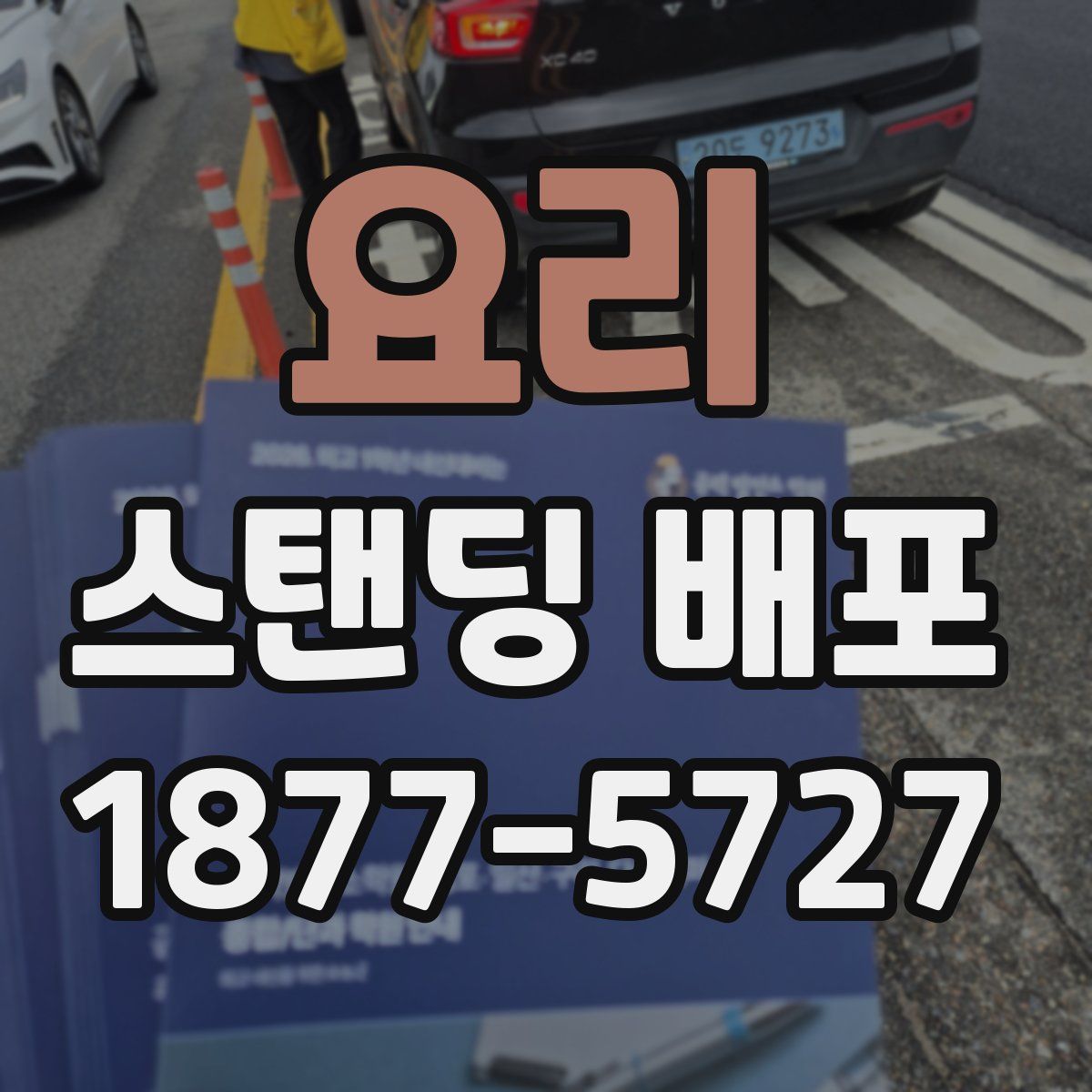 요리 스탠딩 배포