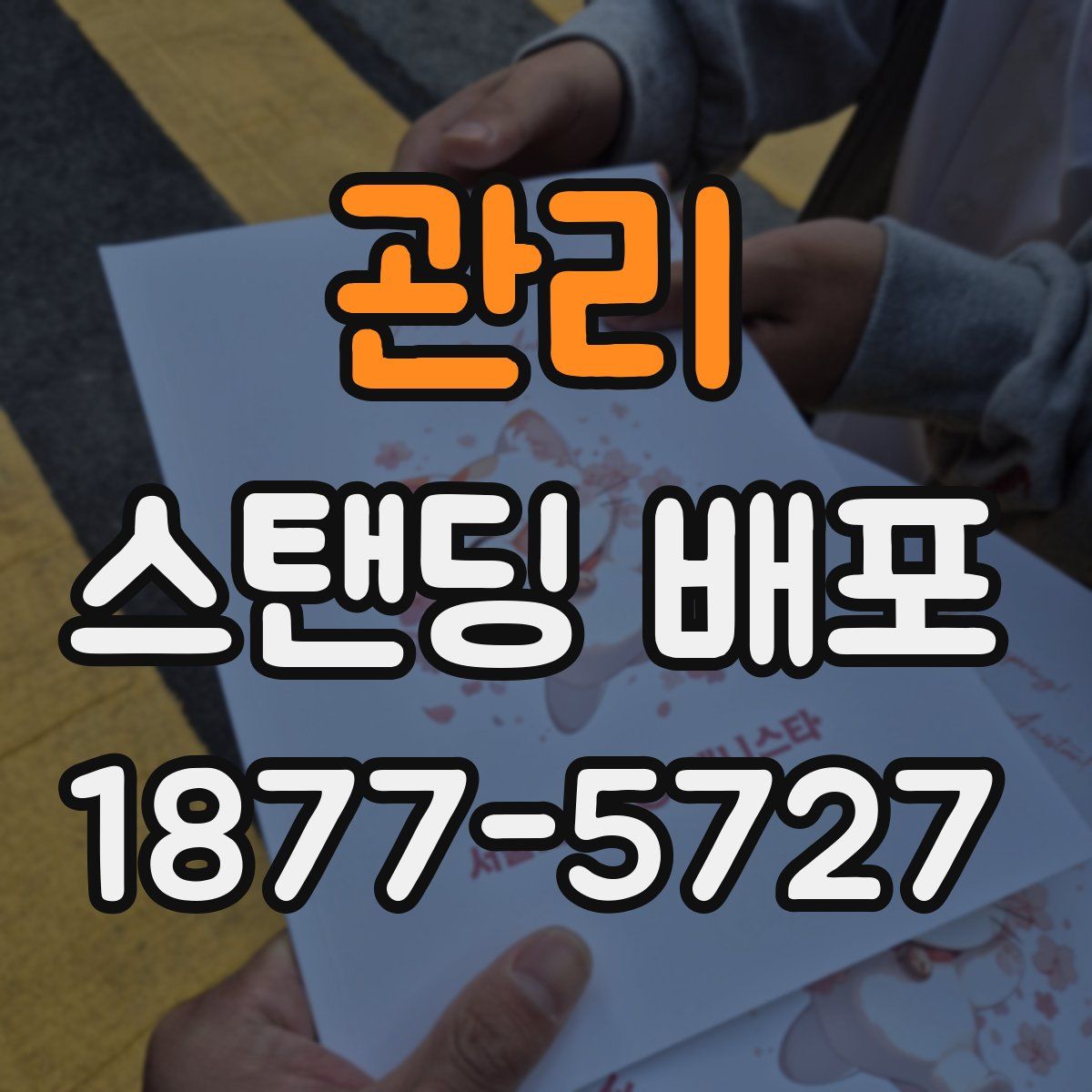 관리 스탠딩 배포