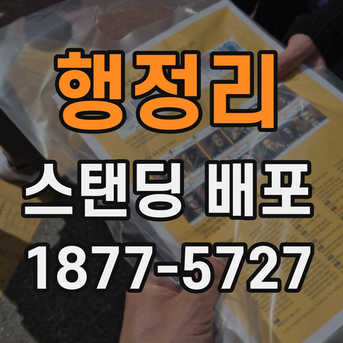 행정리 스탠딩 배포