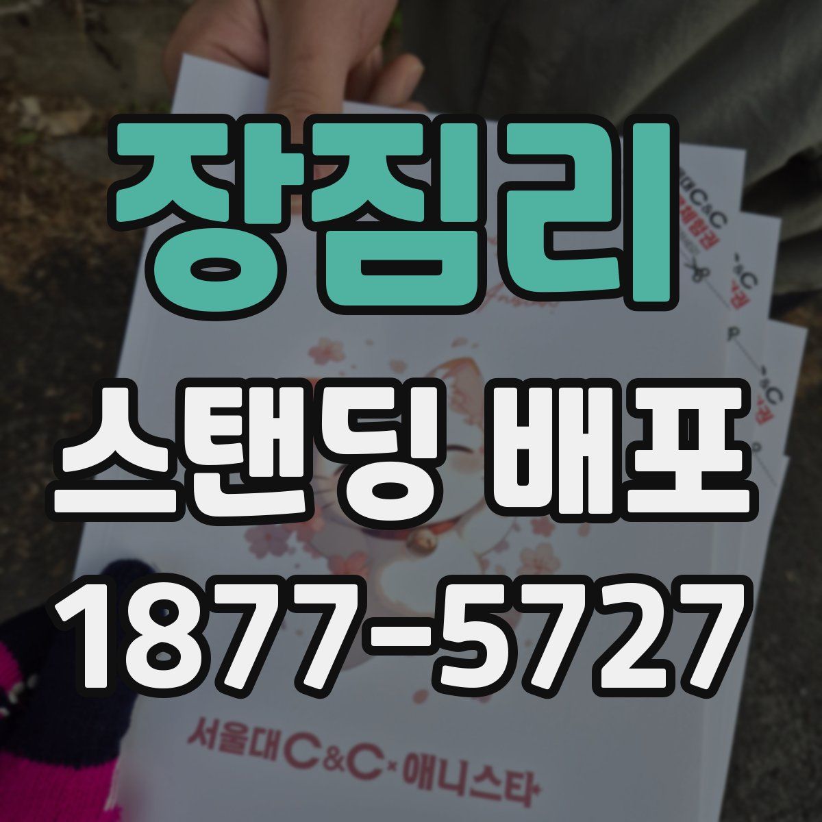 장짐리 스탠딩 배포