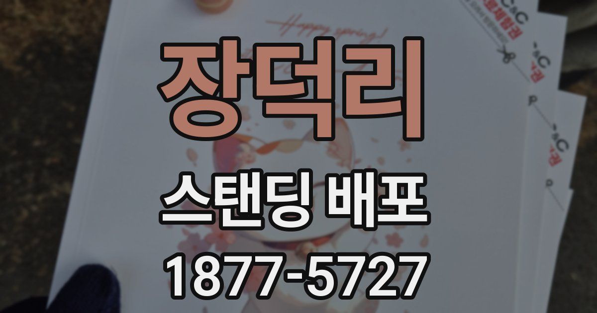 장덕리 스탠딩 배포