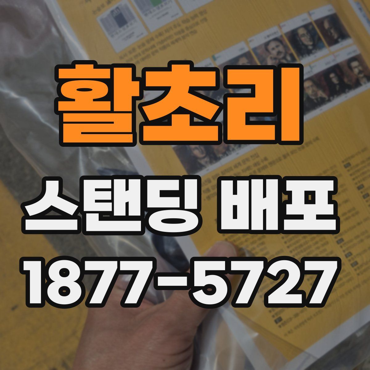 활초리 스탠딩 배포
