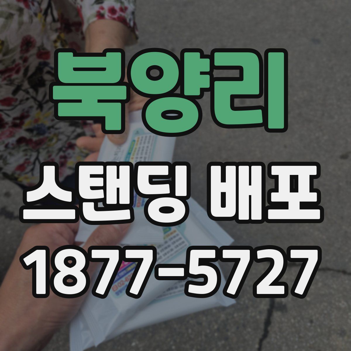 북양리 스탠딩 배포