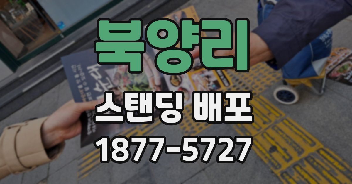 북양리 스탠딩 배포