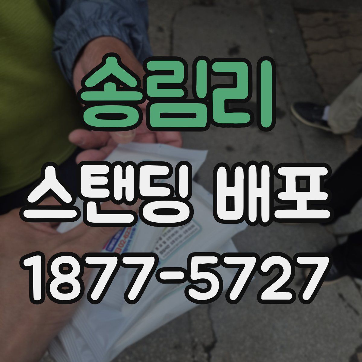 송림리 스탠딩 배포