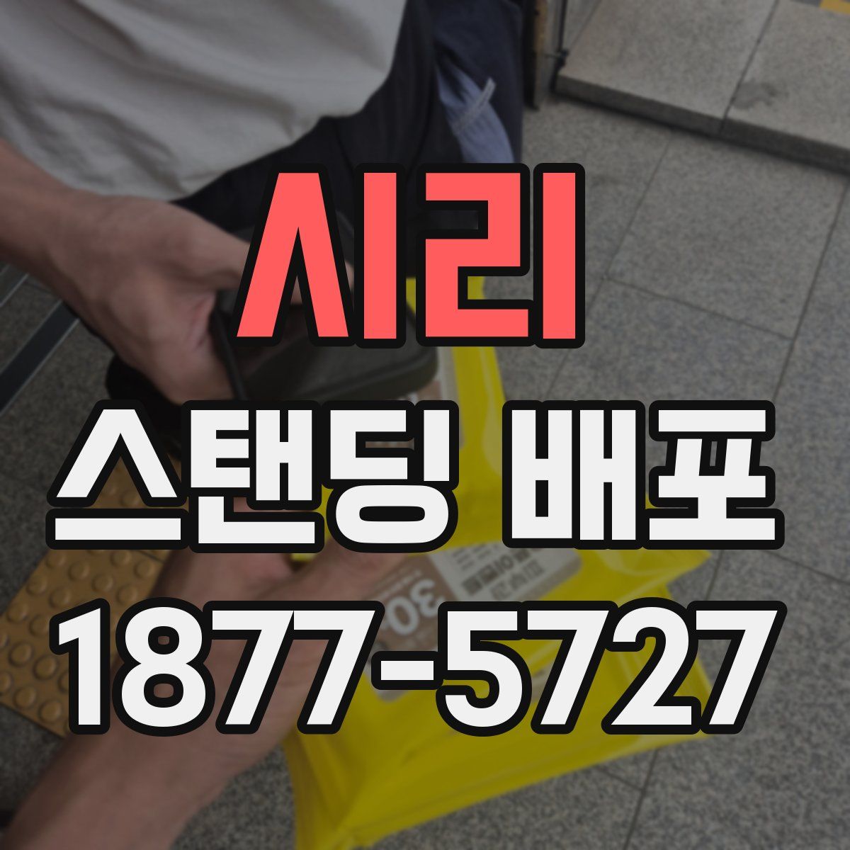시리 스탠딩 배포