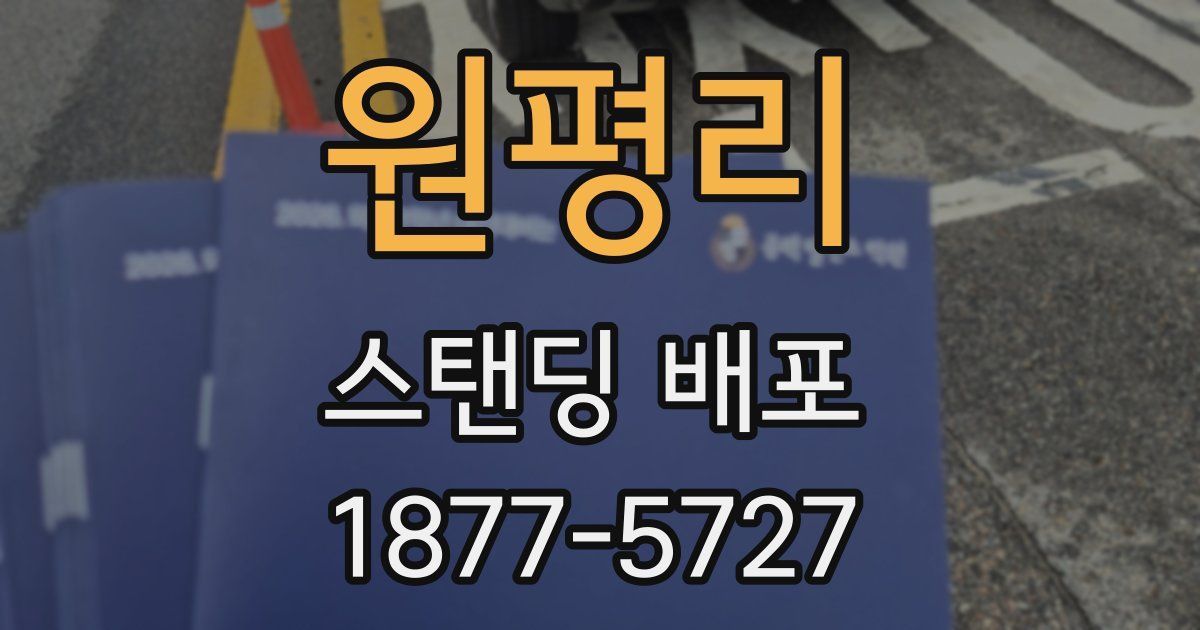 원평리 스탠딩 배포