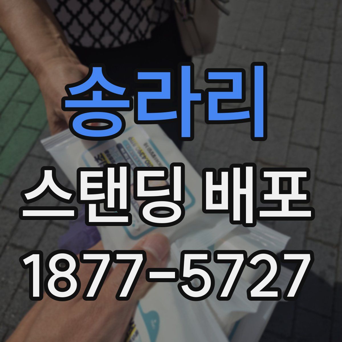 송라리 스탠딩 배포