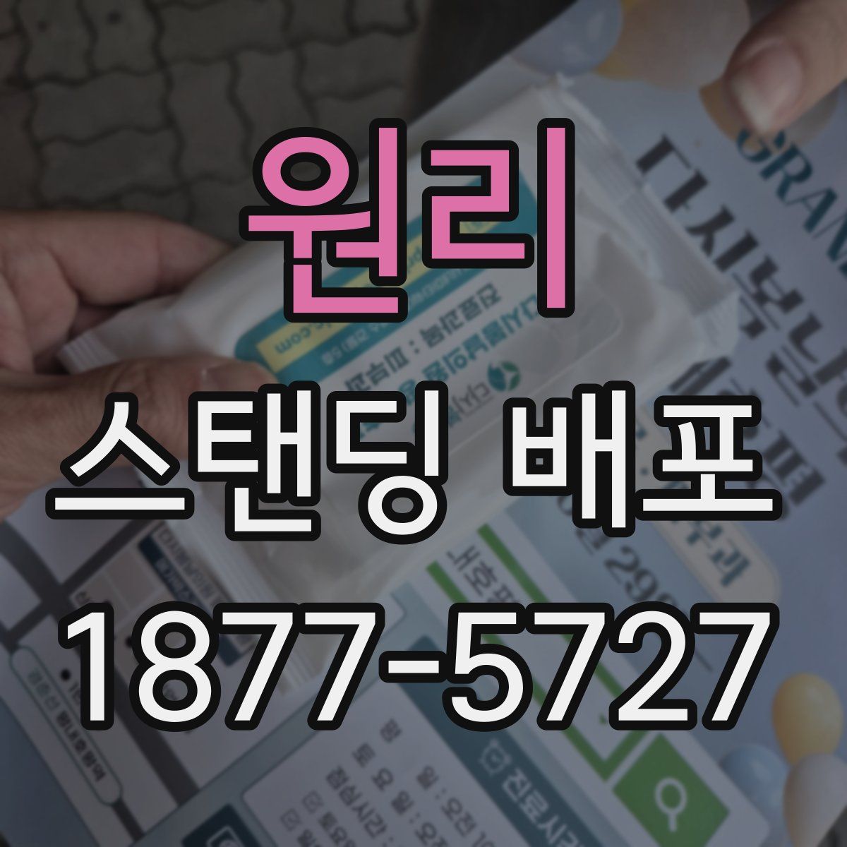 원리 스탠딩 배포
