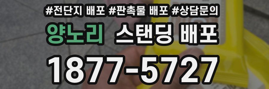 양노리 스탠딩 배포