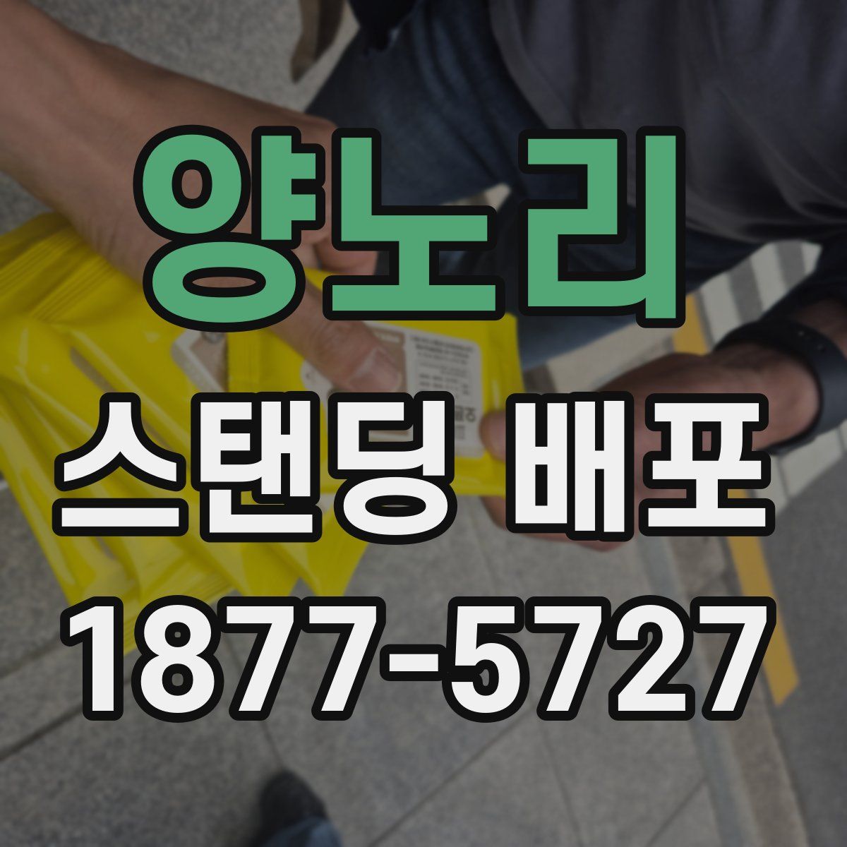 양노리 스탠딩 배포