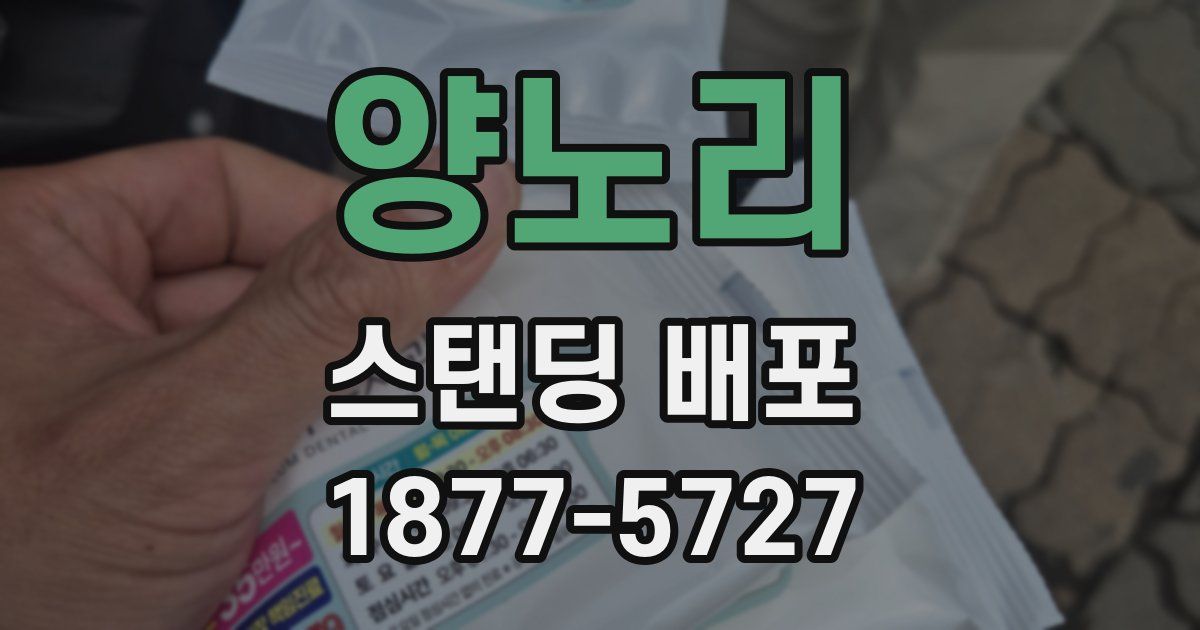 양노리 스탠딩 배포