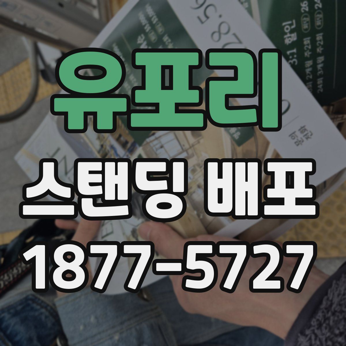 유포리 스탠딩 배포