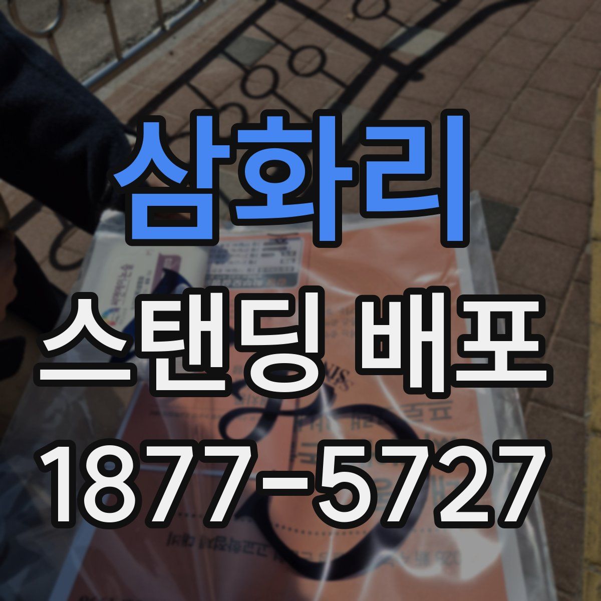 삼화리 스탠딩 배포
