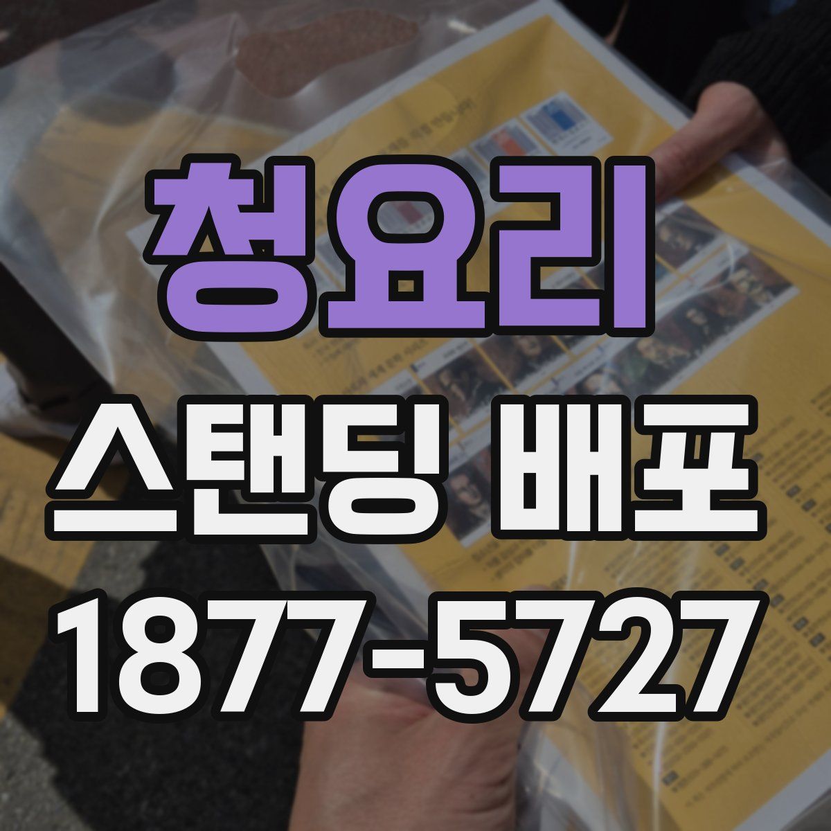 청요리 스탠딩 배포