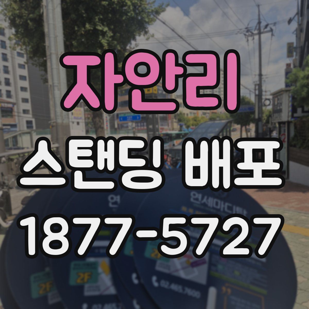 자안리 스탠딩 배포