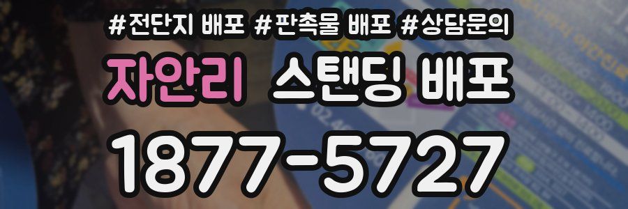 자안리 스탠딩 배포