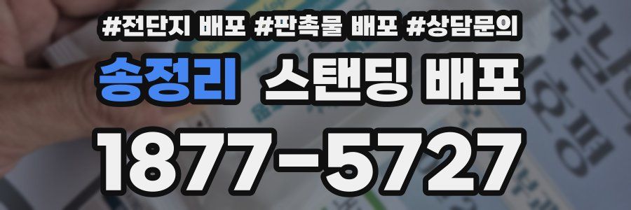 송정리 스탠딩 배포