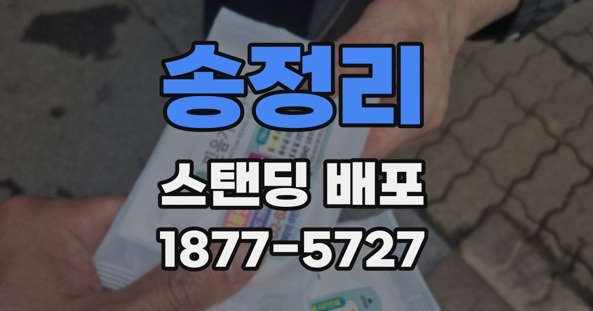 송정리 스탠딩 배포