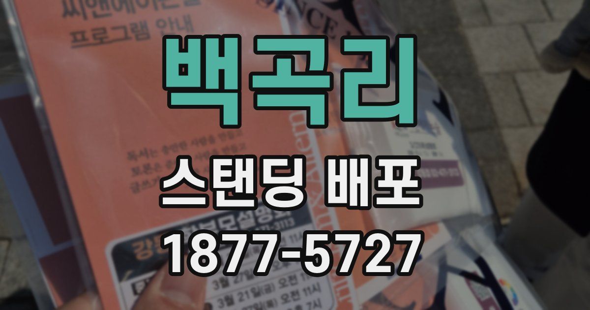 백곡리 스탠딩 배포