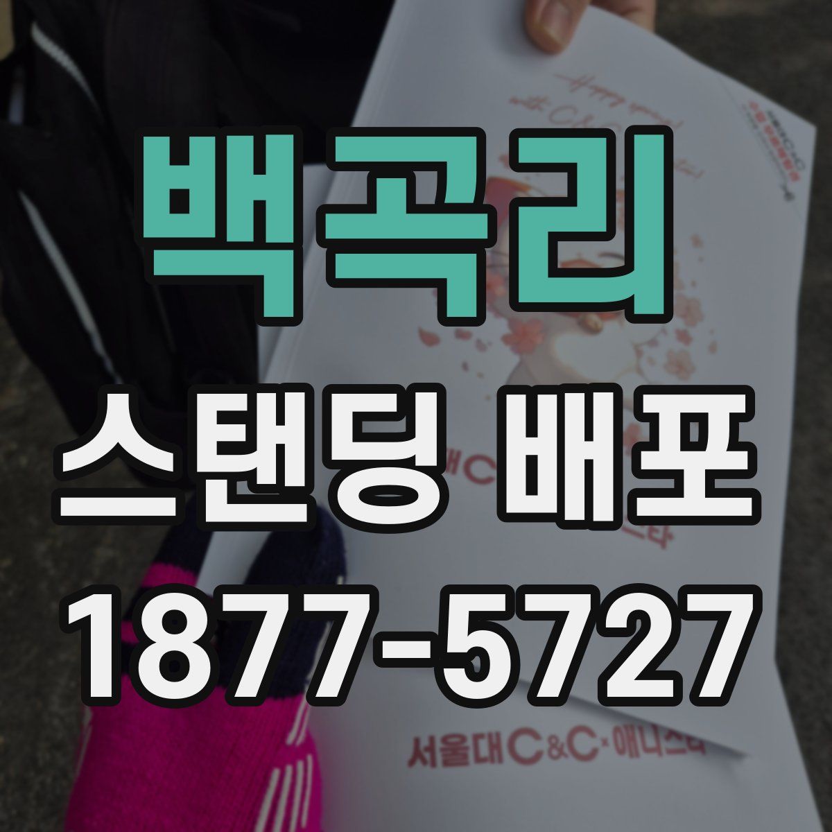 백곡리 스탠딩 배포