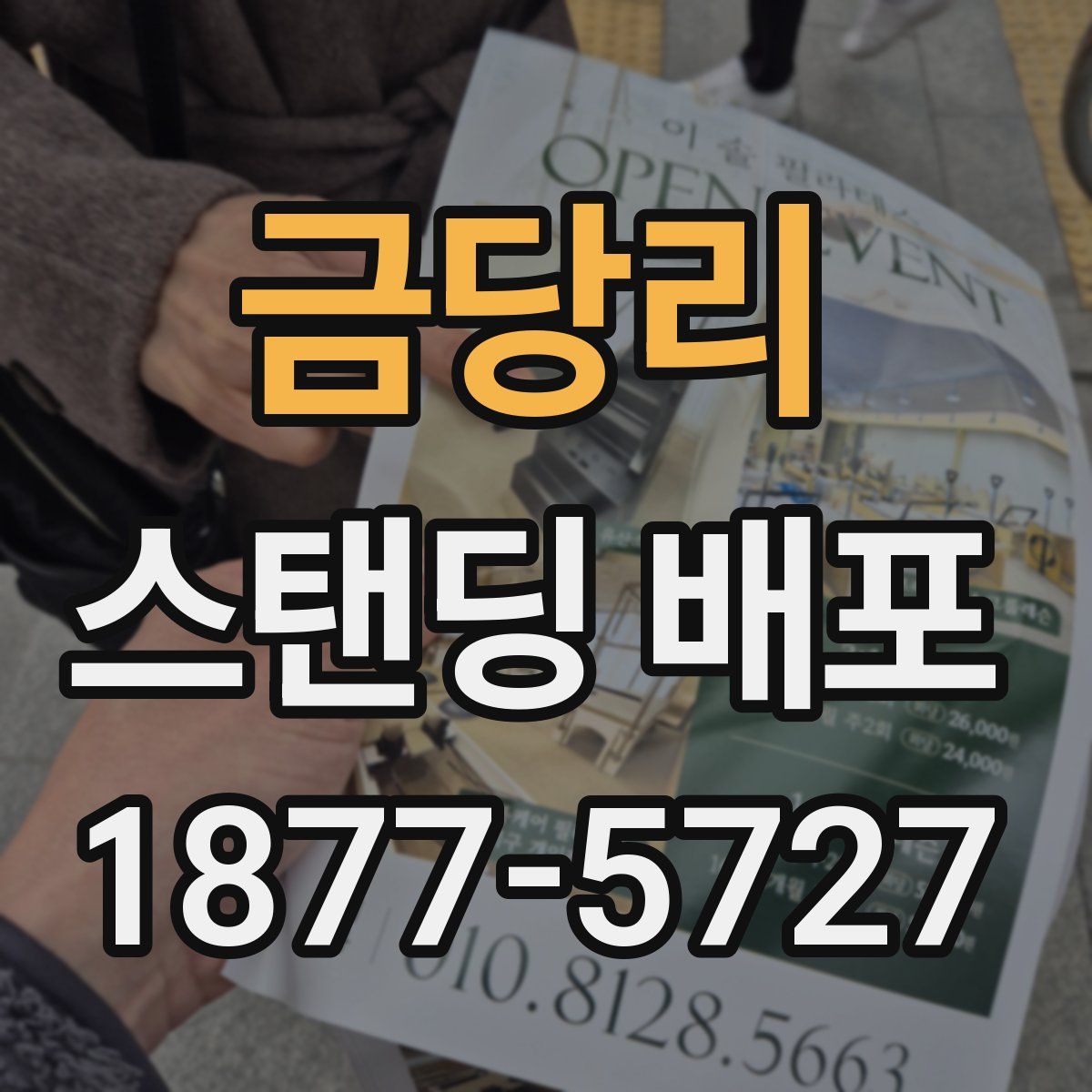 금당리 스탠딩 배포