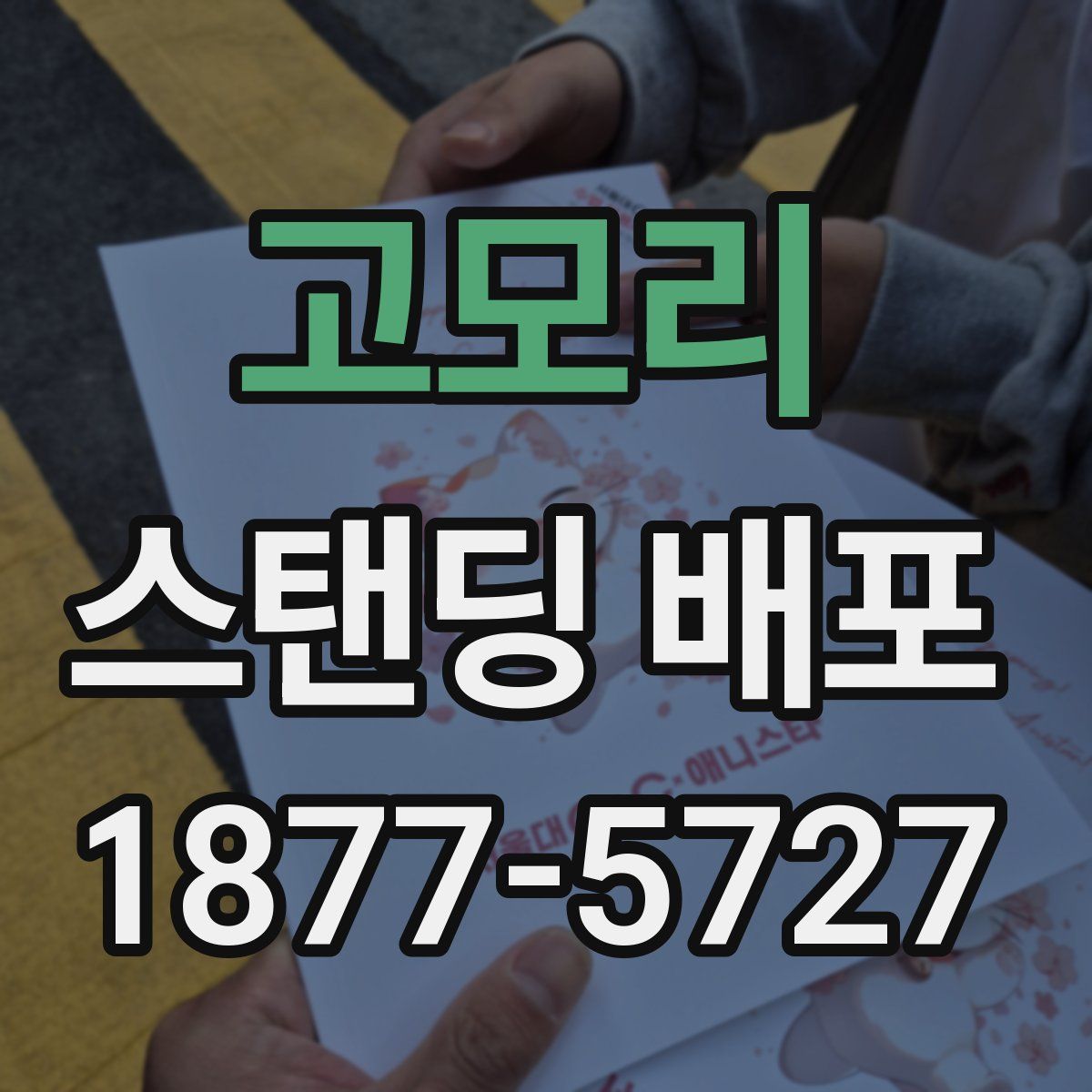 고모리 스탠딩 배포