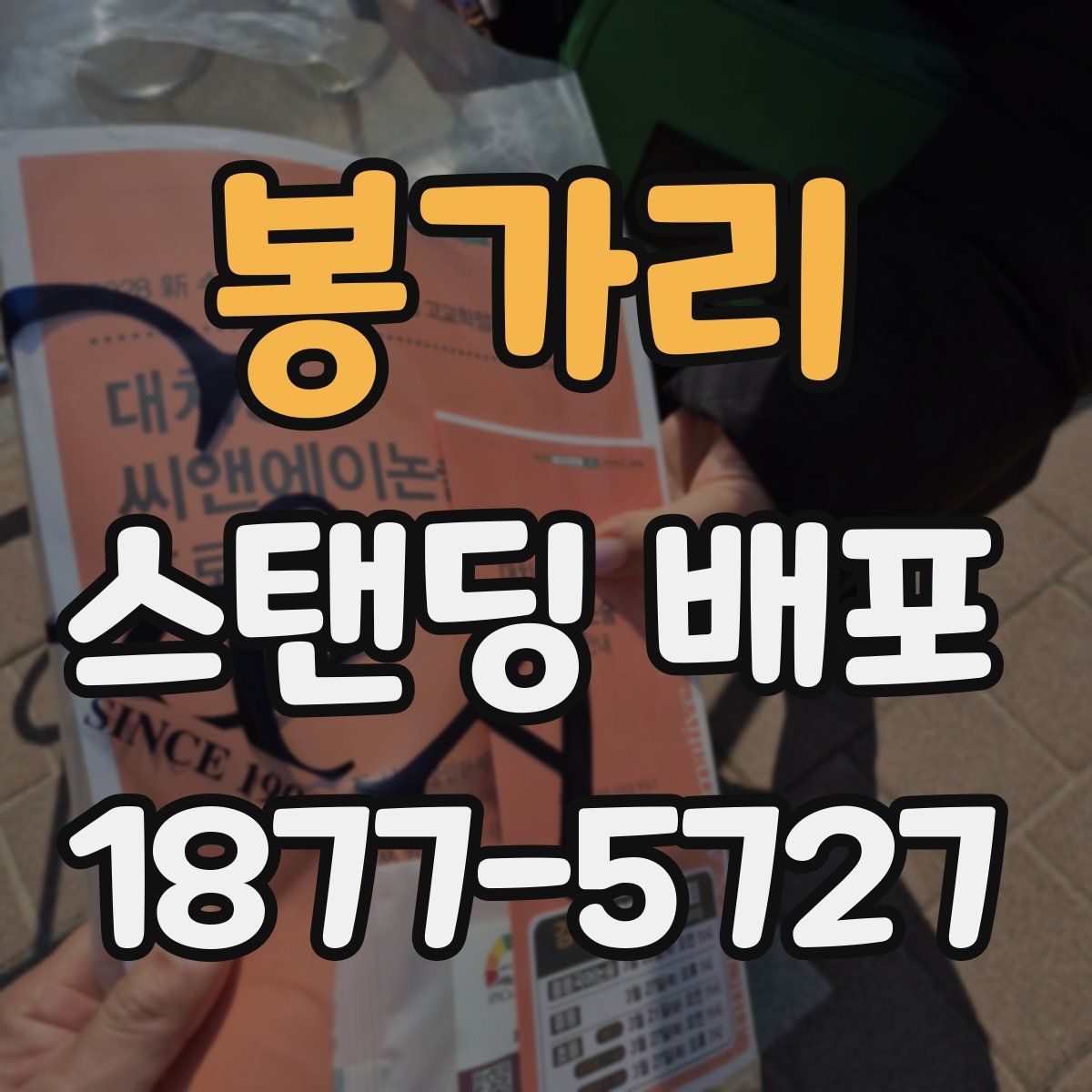봉가리 스탠딩 배포