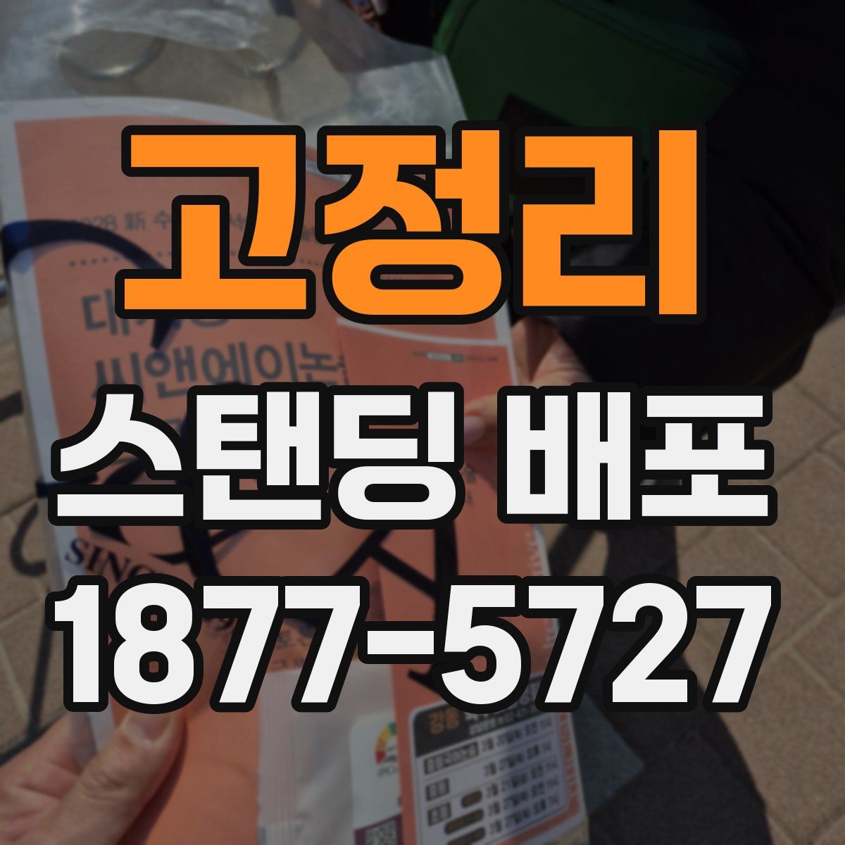 고정리 스탠딩 배포