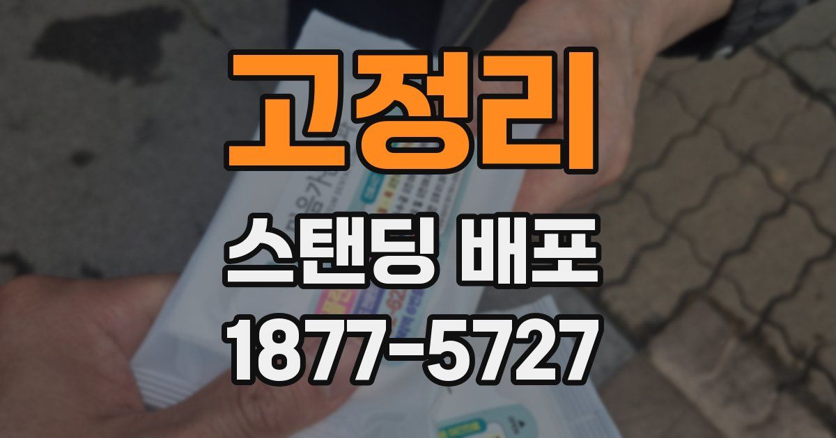 고정리 스탠딩 배포