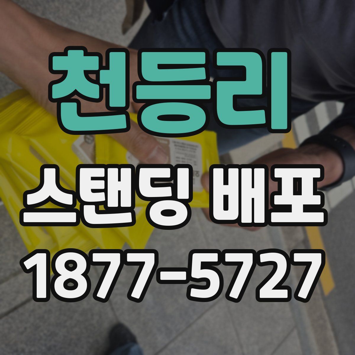 천등리 스탠딩 배포