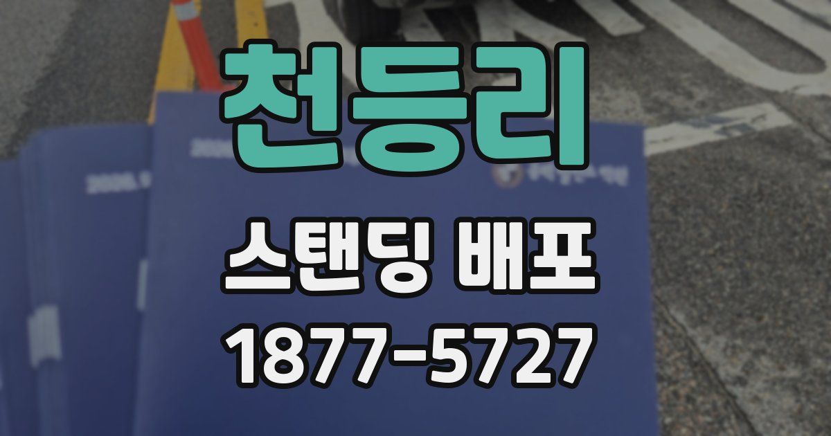 천등리 스탠딩 배포