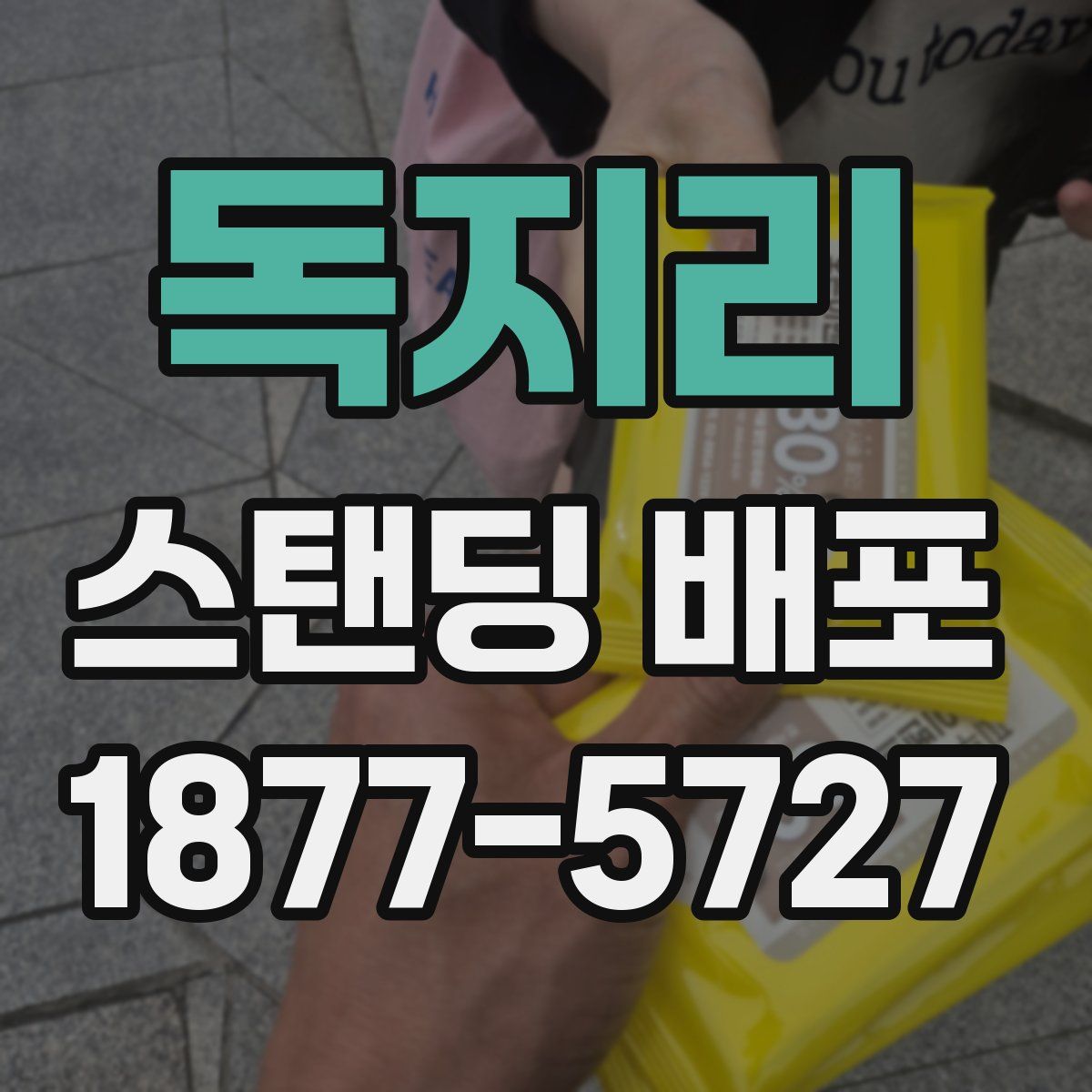 독지리 스탠딩 배포