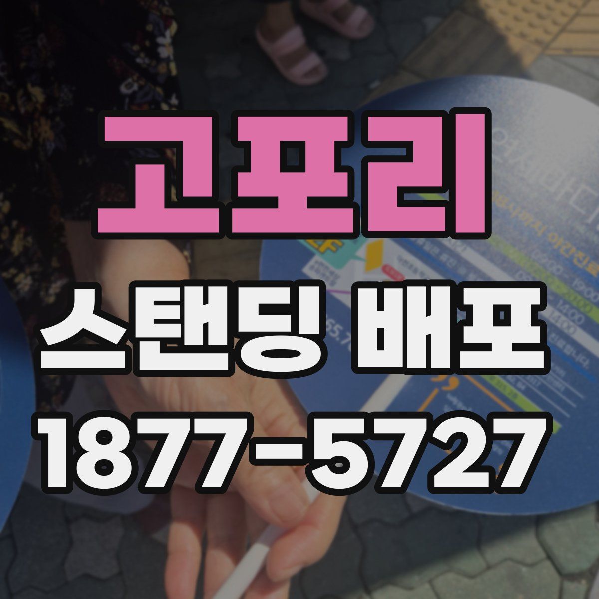 고포리 스탠딩 배포