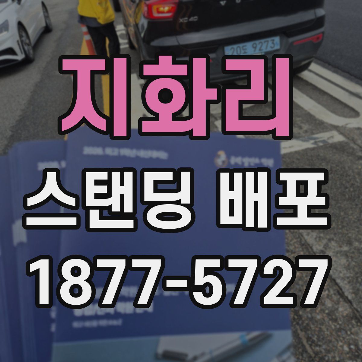 지화리 스탠딩 배포