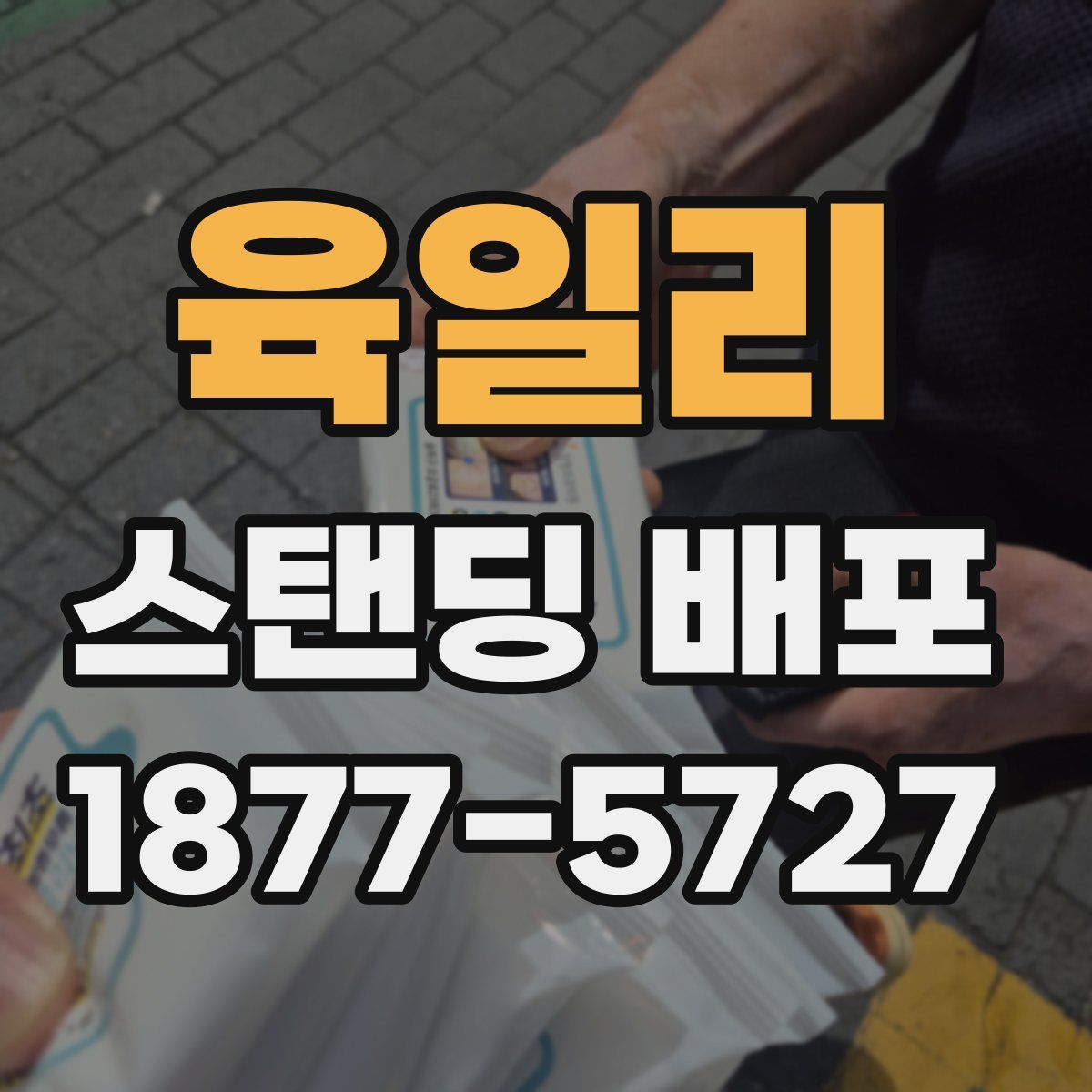 육일리 스탠딩 배포