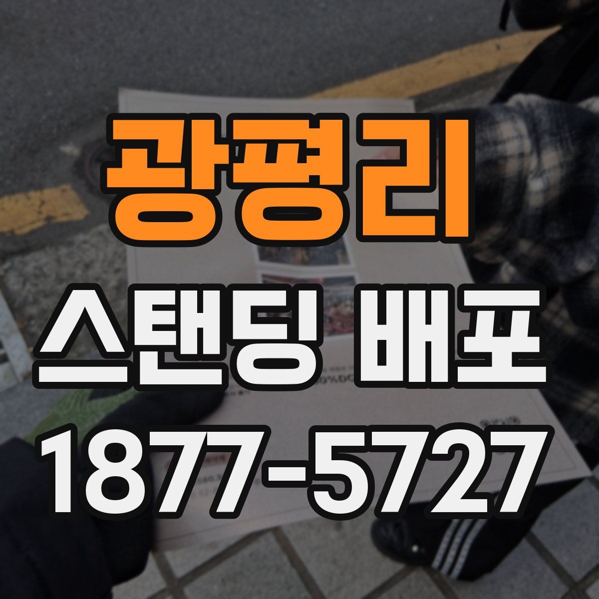 광평리 스탠딩 배포