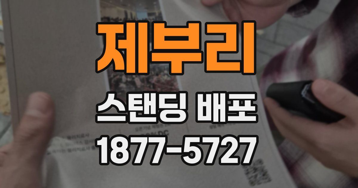 제부리 스탠딩 배포