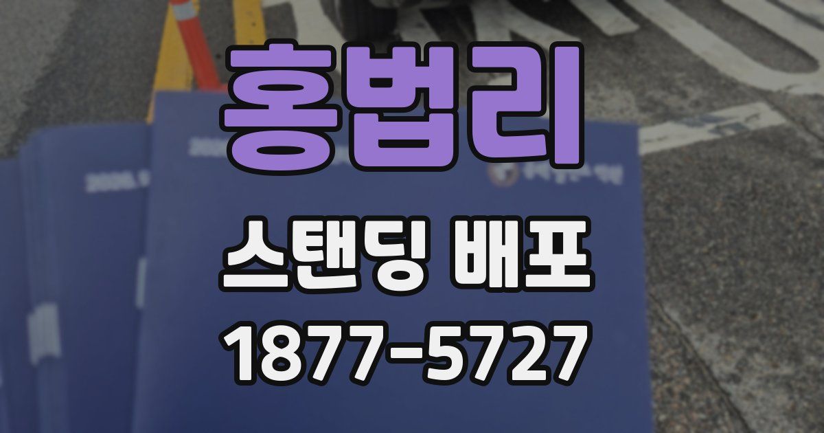 홍법리 스탠딩 배포