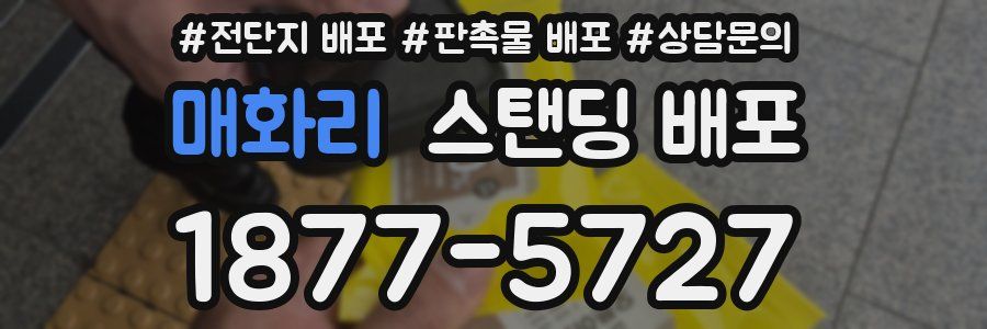 매화리 스탠딩 배포