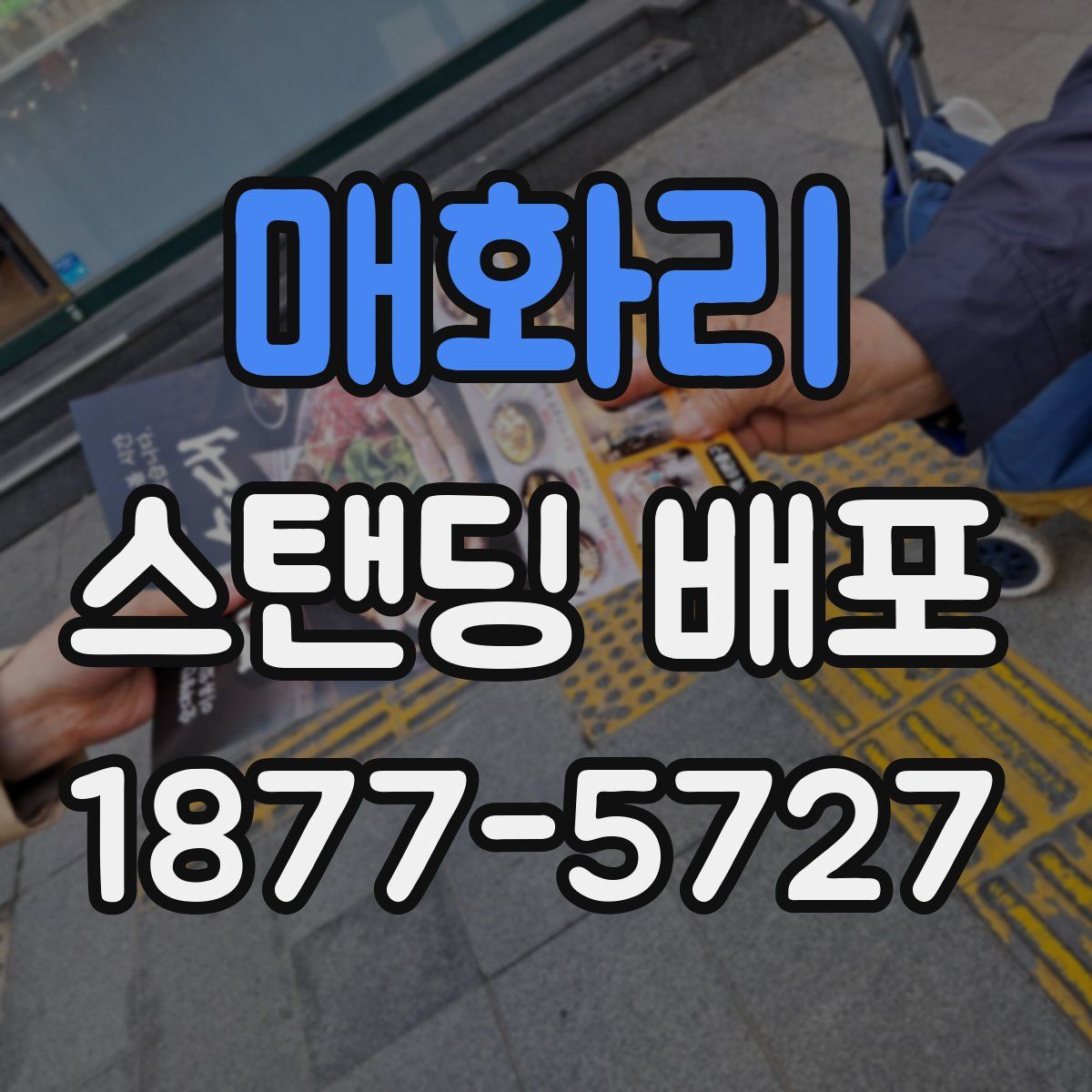 매화리 스탠딩 배포